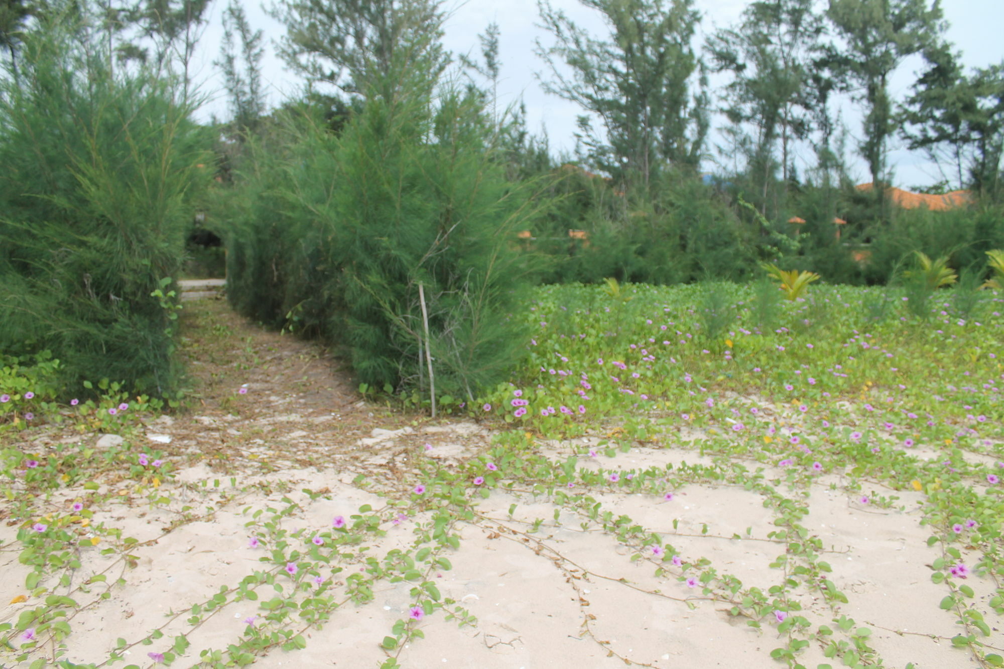 Doi Su Resort Ham Thuan Nam Buitenkant foto
